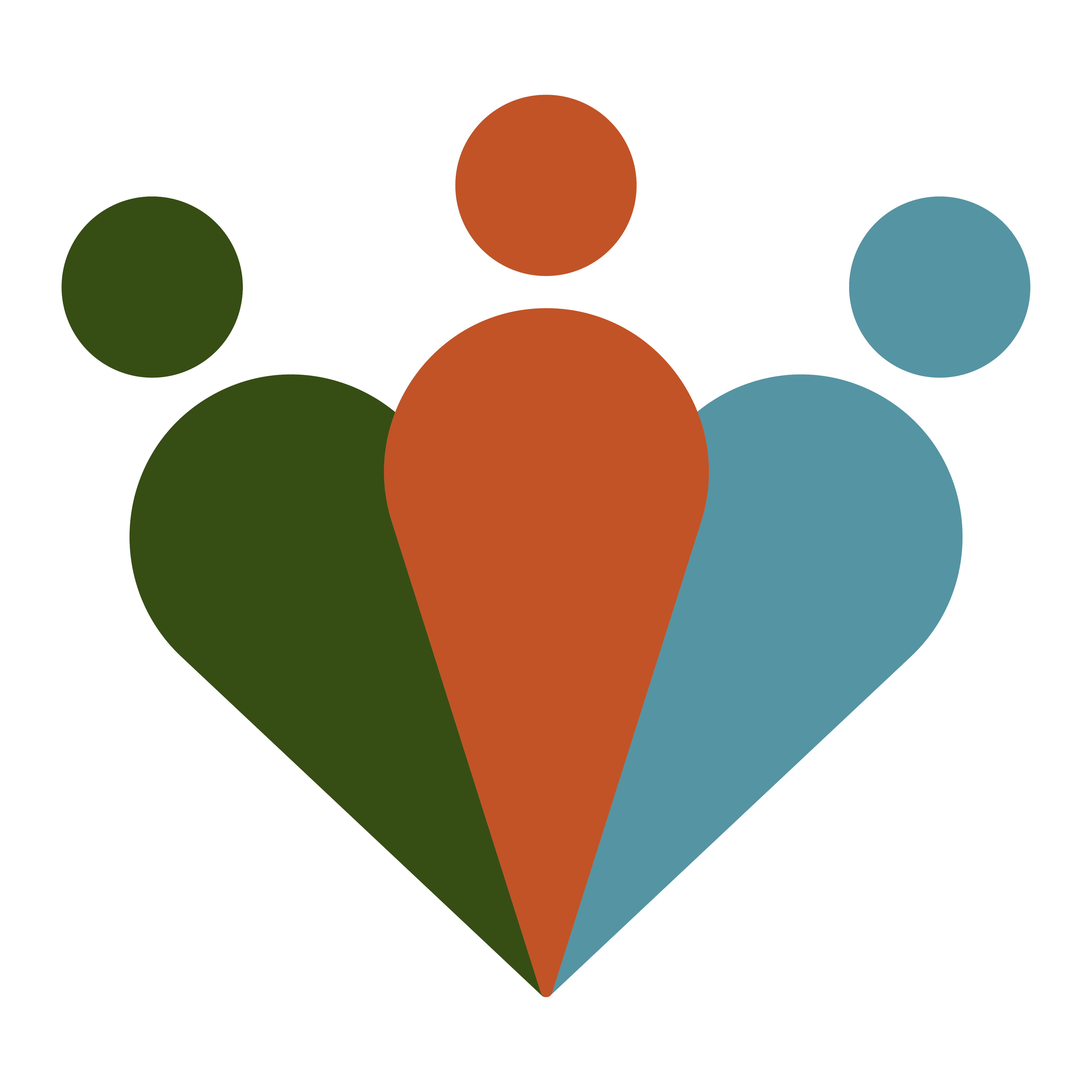 Community Transformation Trust logomark